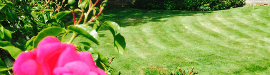 Neat And Stripy Private Customers Neat And Stripy Private Customers