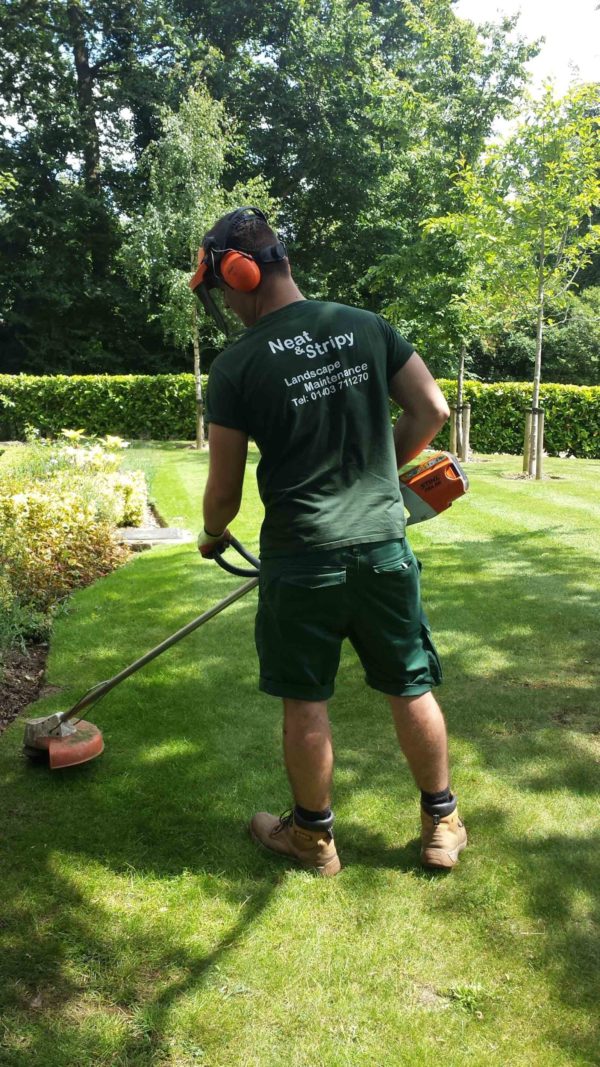 Neat and stripy only use Professional Stihl Strimmers Neat and stripy only use Professional Stihl Strimmers