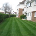 Crown - Property Management - Neat Landscapes Stripy Lawns (Resized) Crown Estate - Worthing - Managing Agent